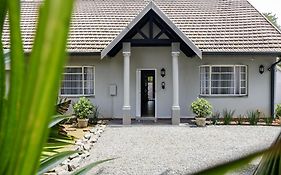 Nest - The Homestead